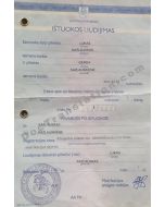 Certified translation of Lithuanian Latvian Estonian USSR Birth